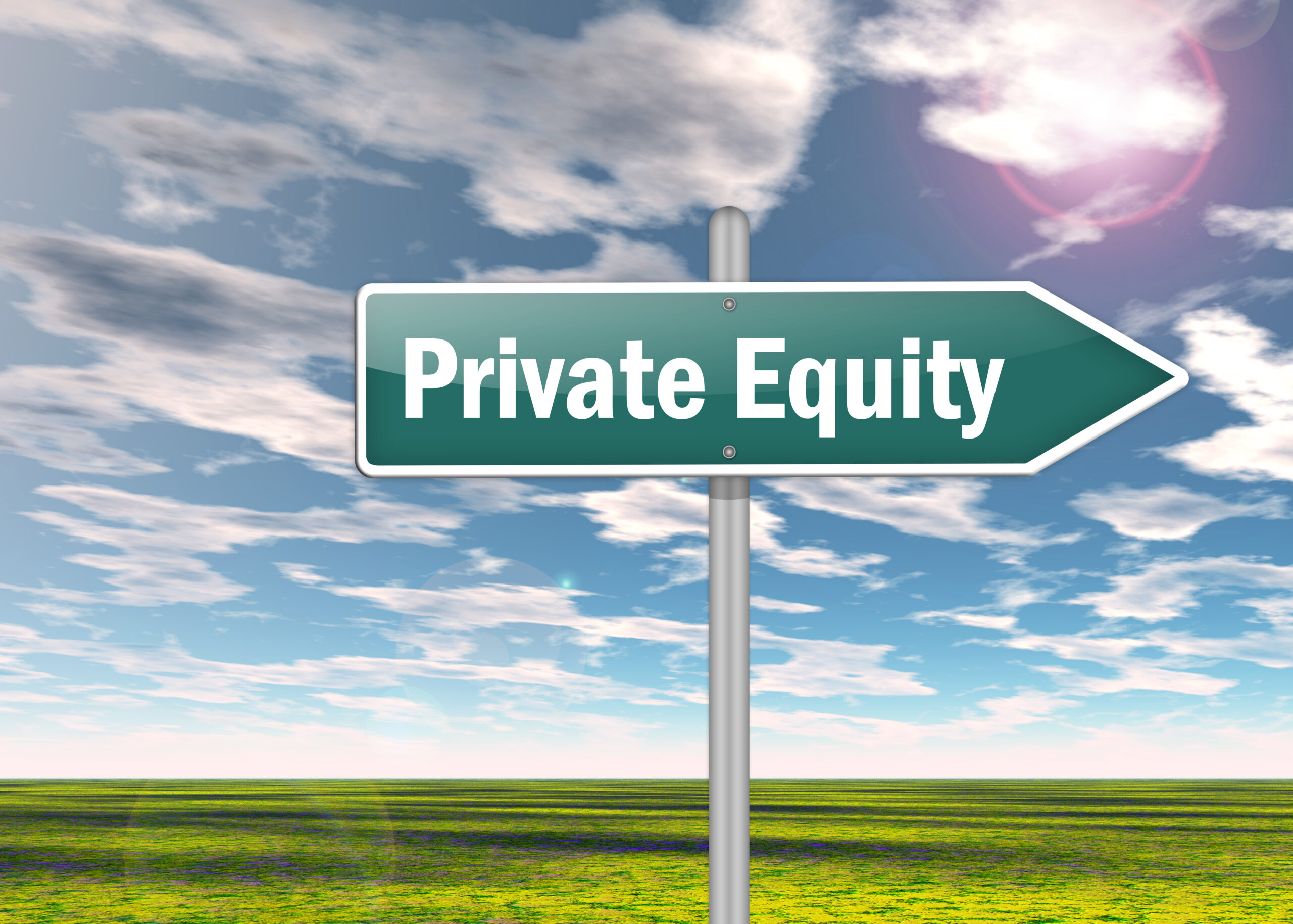 Private Equity and Public Accounting Firms